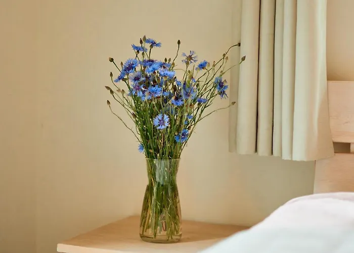 Monciskes פלאנגה