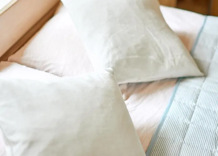 מלון דירות Monciskes